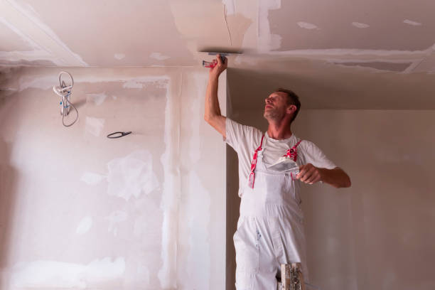 Best New Construction Drywall Services  in Gasport, NY